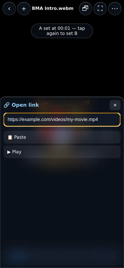 Paste the link and tap Play